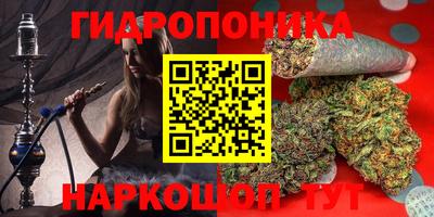 a pvp Михайловск
