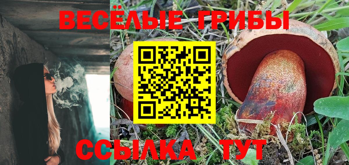 Галлюциногенные грибы Magic Shrooms  Псилоцибиновые грибы прущие грибы  Барнаул  купить наркотики сайты  Вход с VPN 
