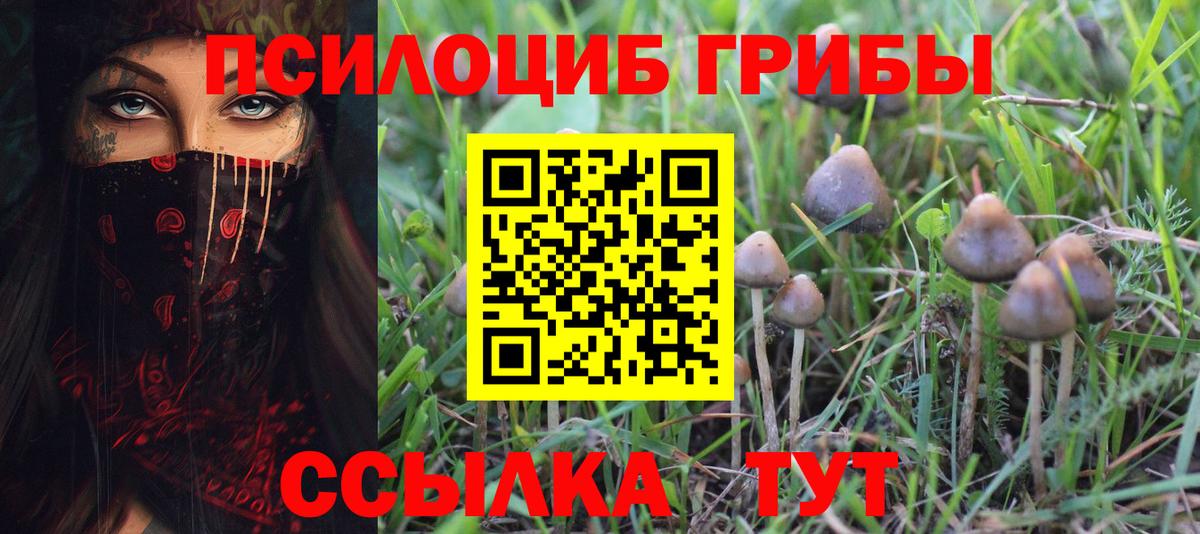 Псилоцибиновые грибы Magic Shrooms Барнаул